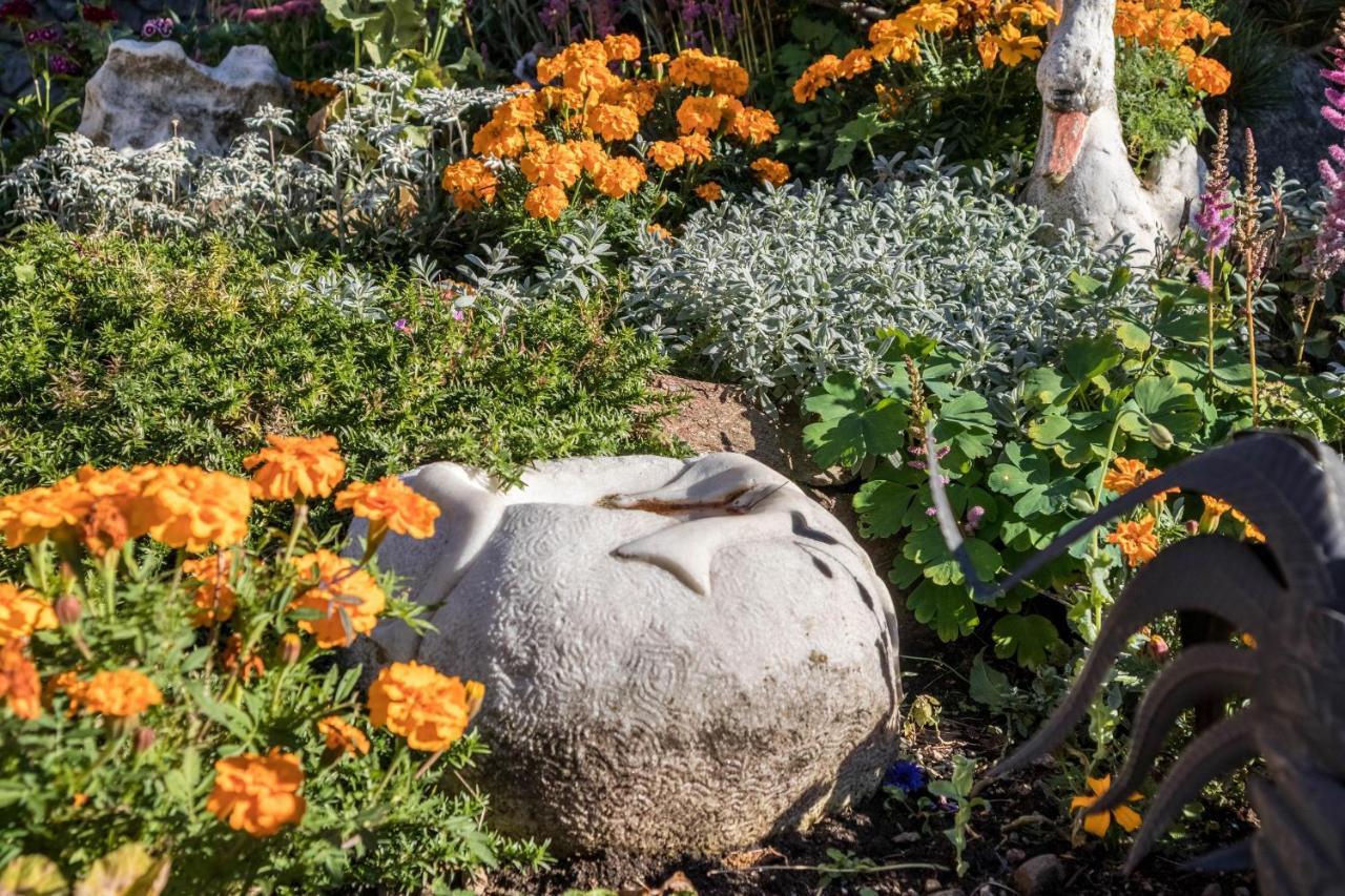 Tonigbauernhof Blumenwiese Шена Екстер'єр фото